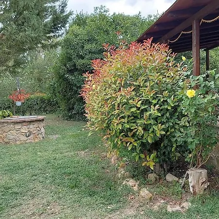Terra Di Mezzo